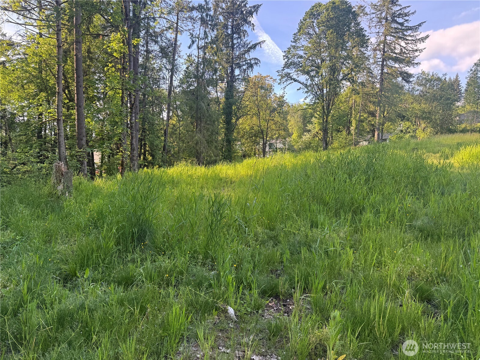 237 Haussler Road Kelso WA 98626