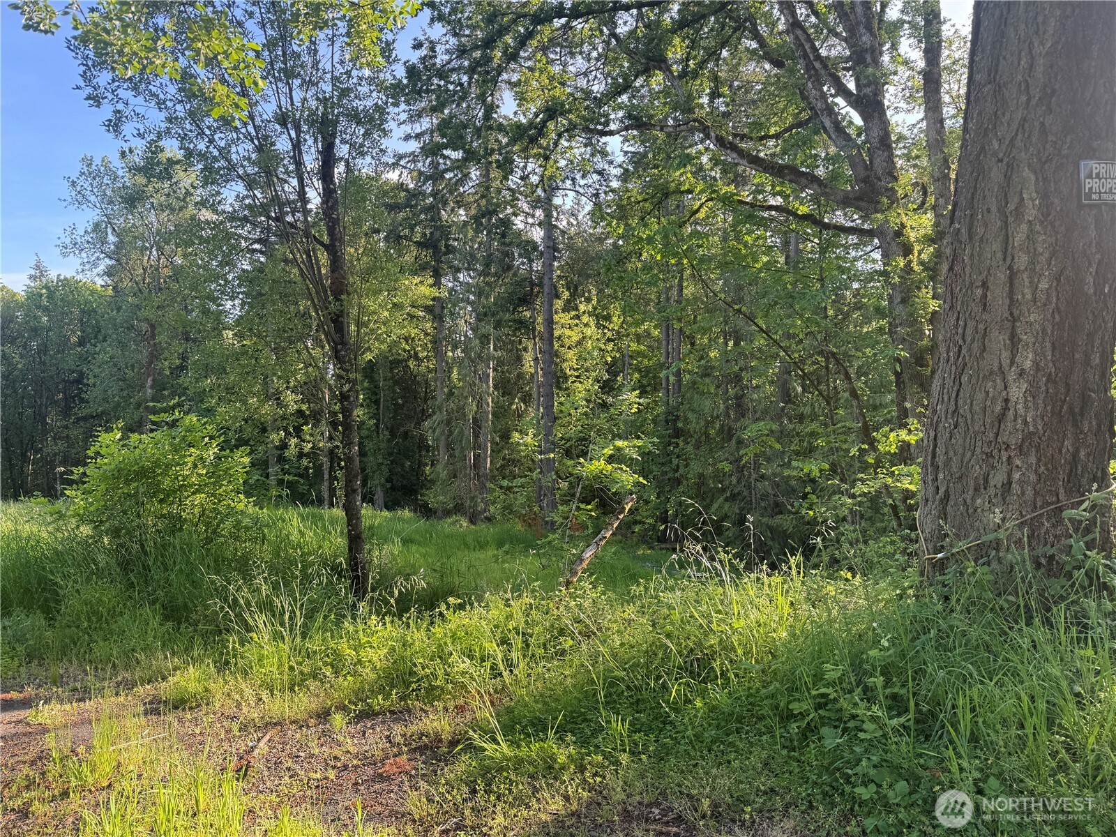237 Haussler Road Kelso WA 98626