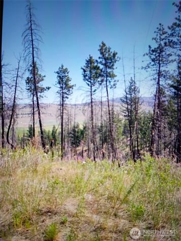 111 J H Green Road Tonasket WA 98855