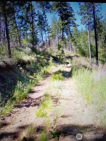 111 J H Green Road Tonasket WA 98855