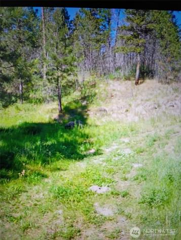 111 J H Green Road Tonasket WA 98855