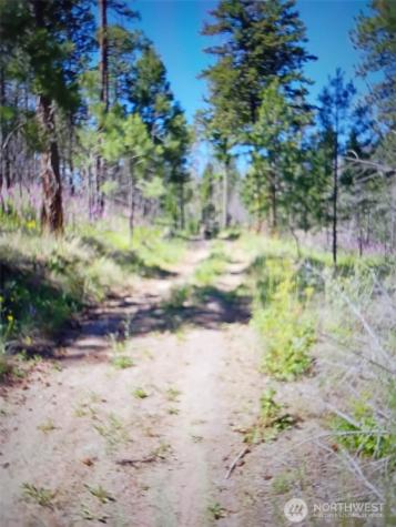 111 J H Green Road Tonasket WA 98855