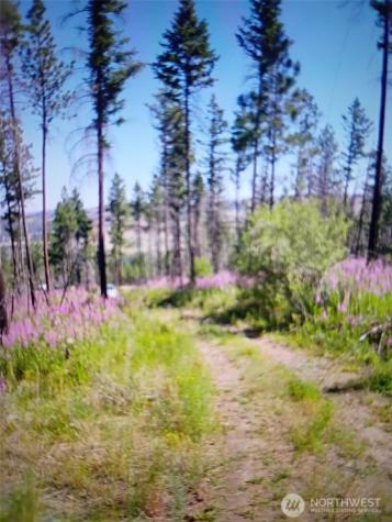 111 J H Green Road Tonasket WA 98855