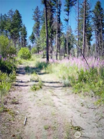 111 J H Green Road Tonasket WA 98855