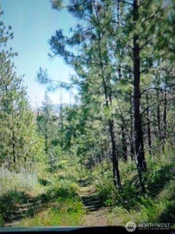 111 J H Green Road Tonasket WA 98855