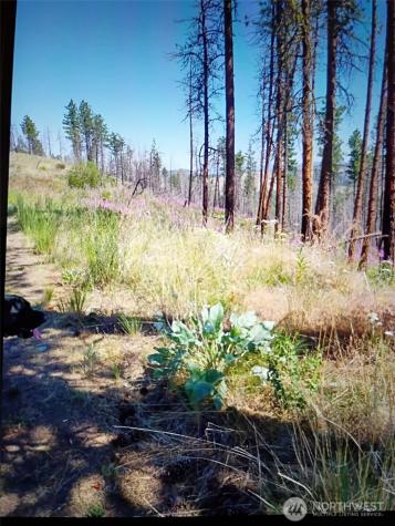 111 J H Green Road Tonasket WA 98855