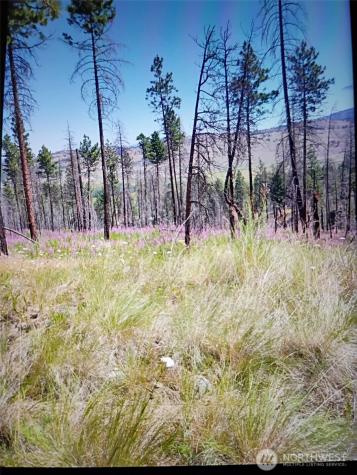 111 J H Green Road Tonasket WA 98855