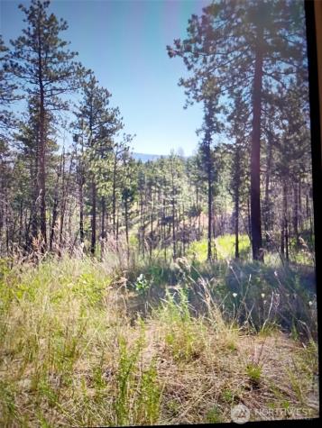 111 J H Green Road Tonasket WA 98855
