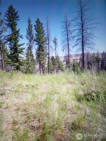 111 J H Green Road Tonasket WA 98855