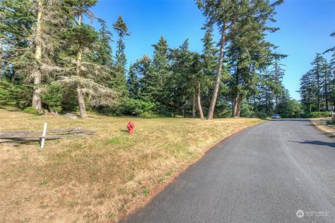 9 Fossil Bay Drive Orcas Island WA 98245