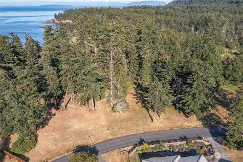 9 Fossil Bay Drive Orcas Island WA 98245