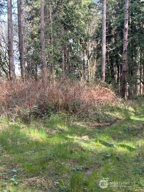 0 Hellman Road Clinton WA 98236
