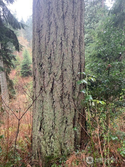 0 Hellman Road Clinton WA 98236