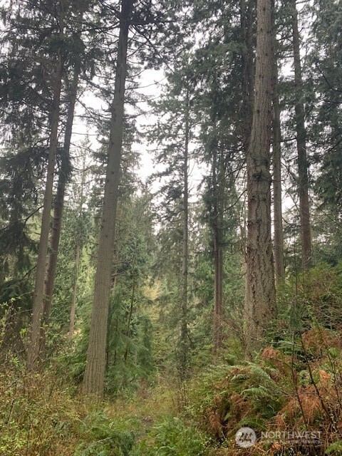 0 Hellman Road Clinton WA 98236