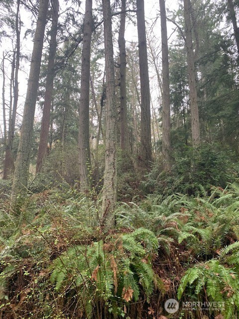 0 Hellman Road Clinton WA 98236