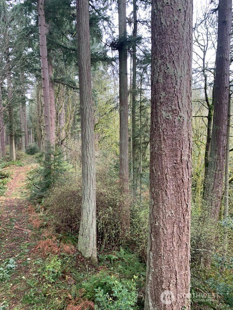 0 Hellman Road Clinton WA 98236
