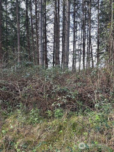 0 Hellman Road Clinton WA 98236