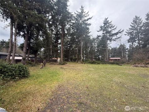 743 Duck Lake Drive NE Ocean Shores WA 98569
