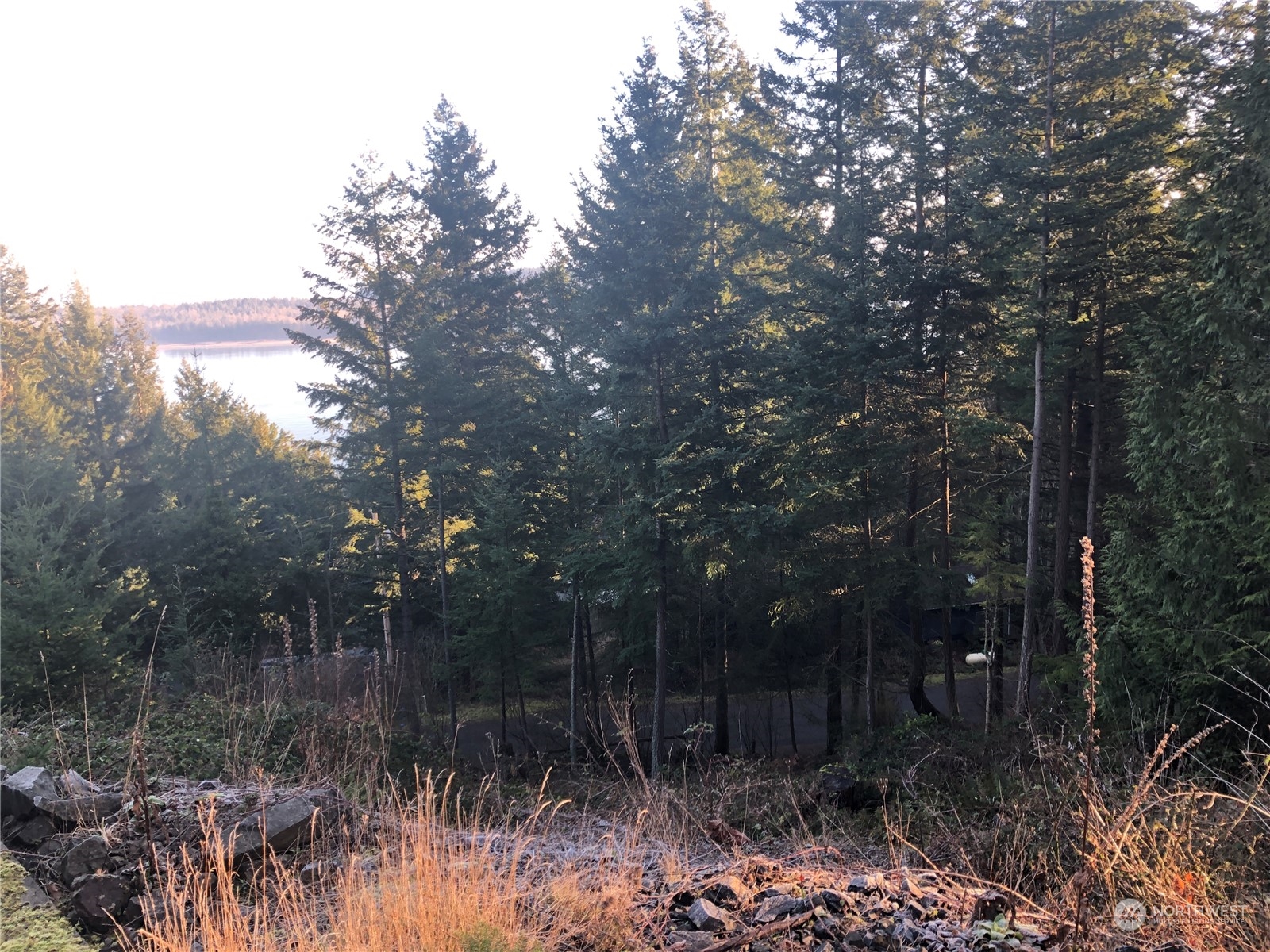 2948 Dogwood Terrace Lummi Island WA 98262