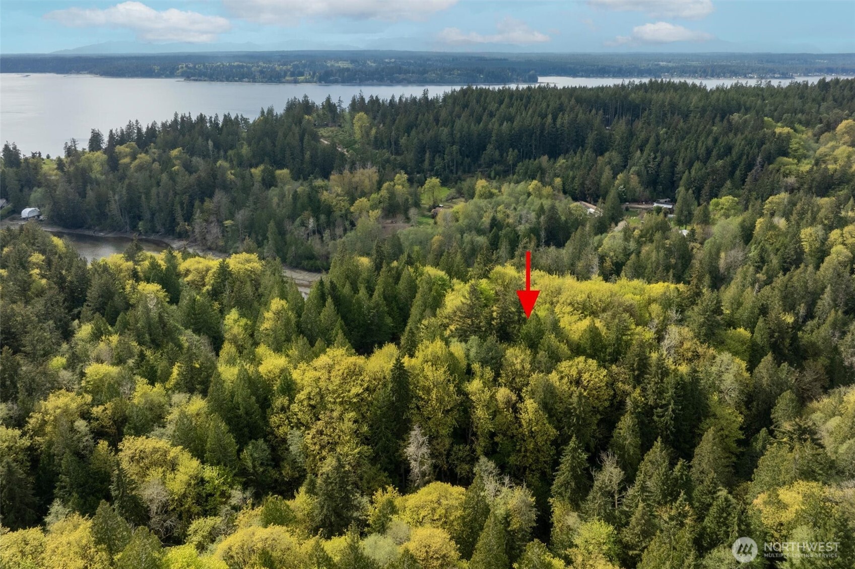 0 Reyonlds Road NW Vaughn WA 98394