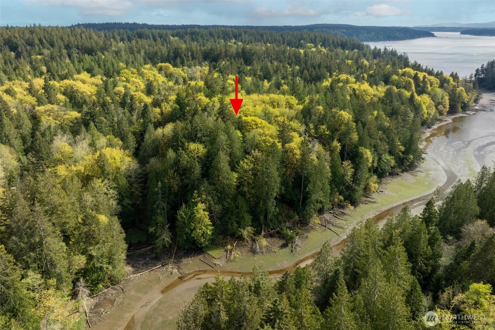 0 Reyonlds Road NW Vaughn WA 98394