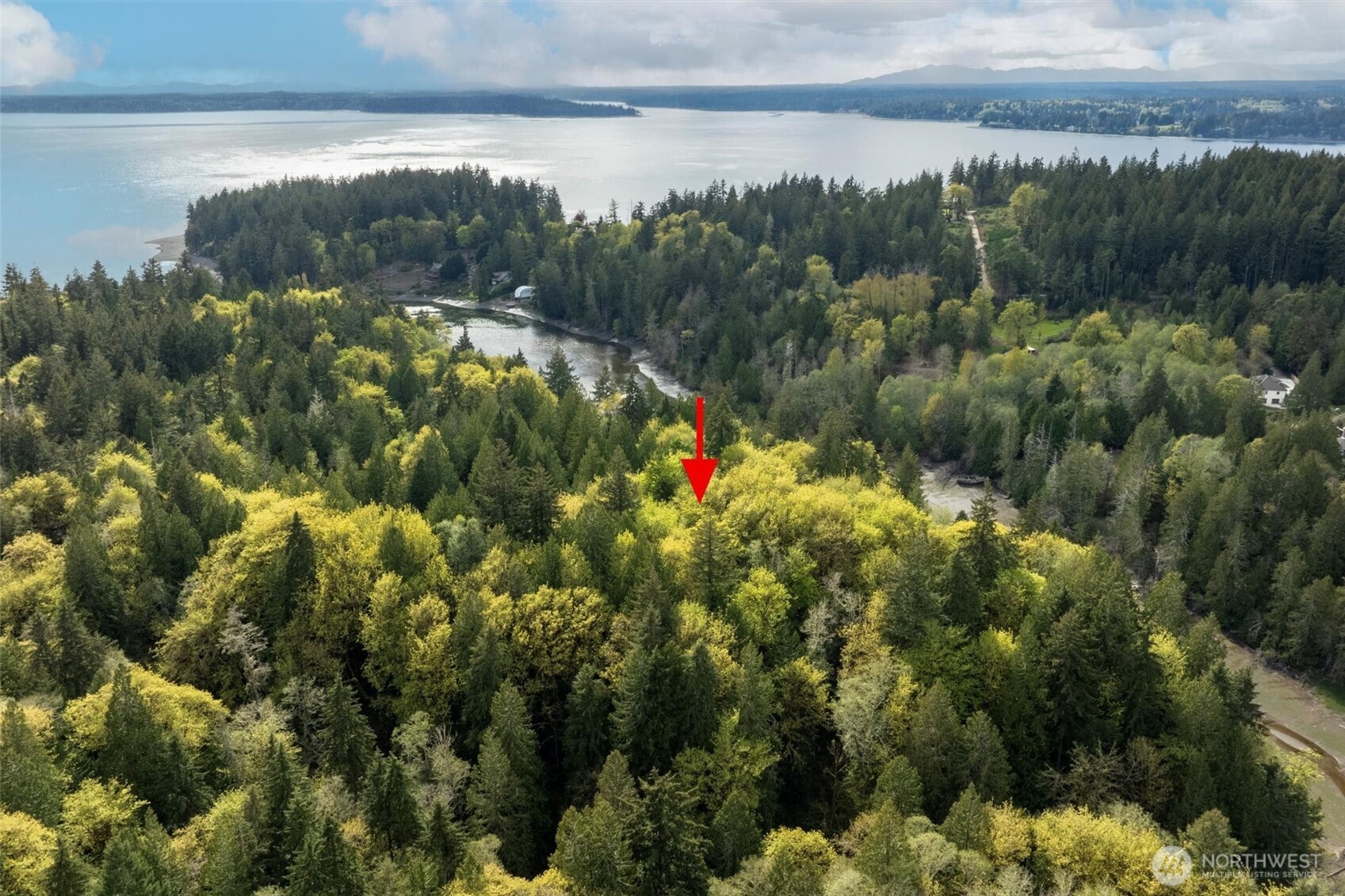 0 Reyonlds Road NW Vaughn WA 98394