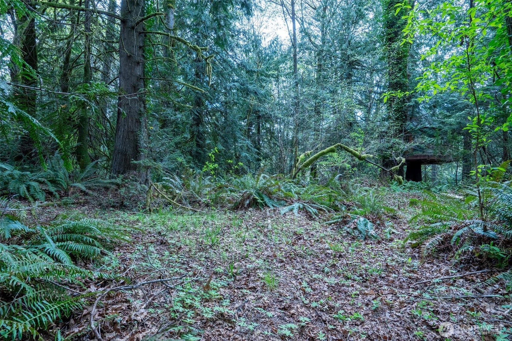 0 Reyonlds Road NW Vaughn WA 98394