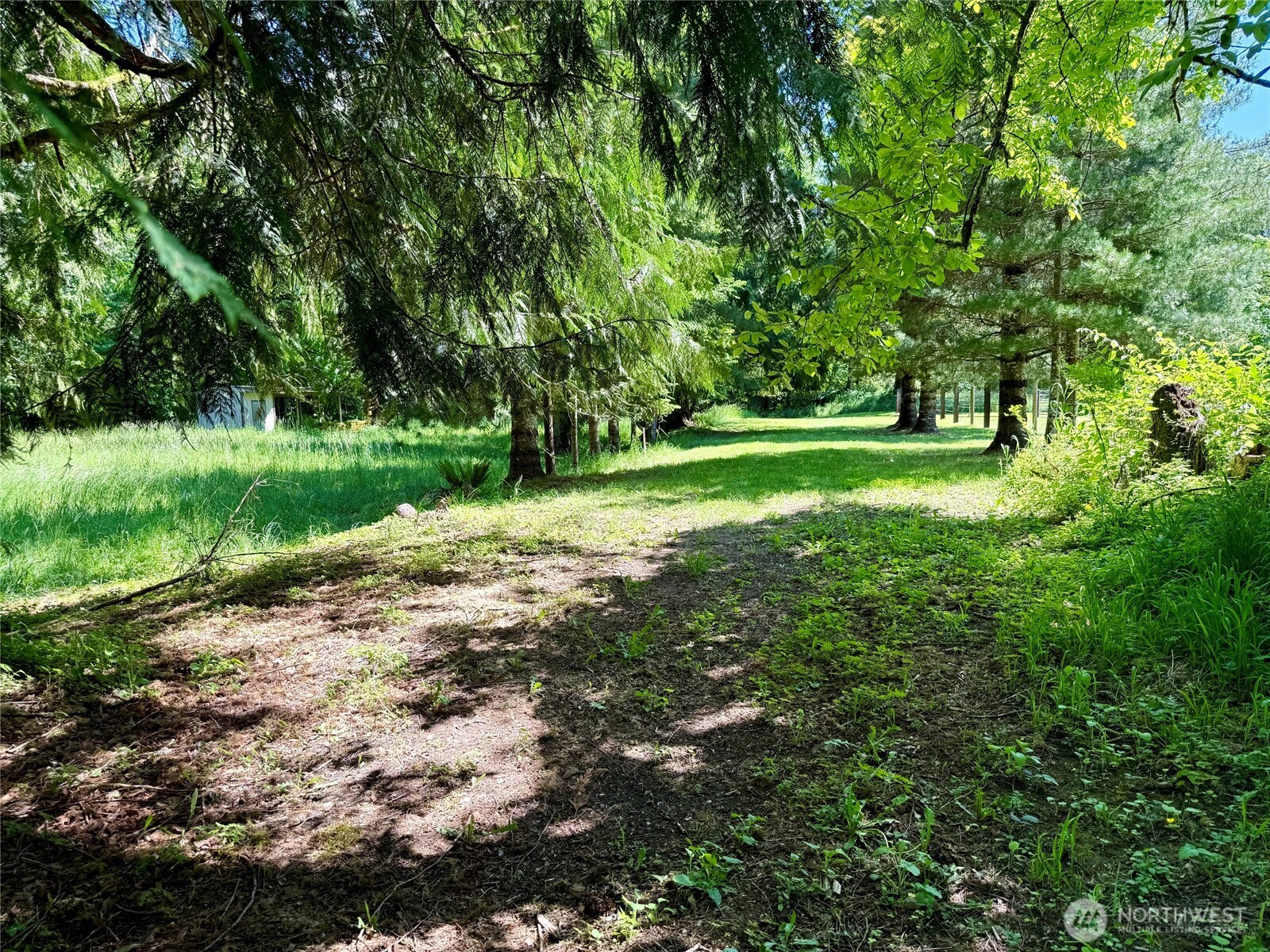 107 River Lane Toledo WA 98591