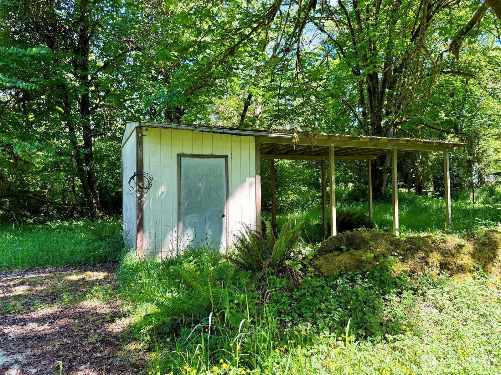107 River Lane Toledo WA 98591