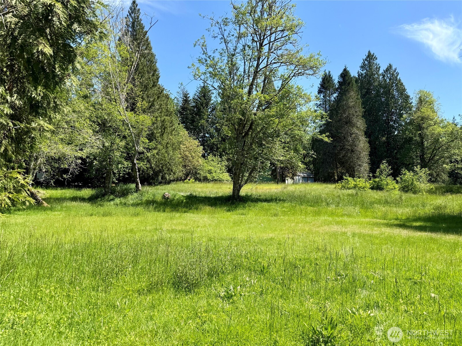 107 River Lane Toledo WA 98591