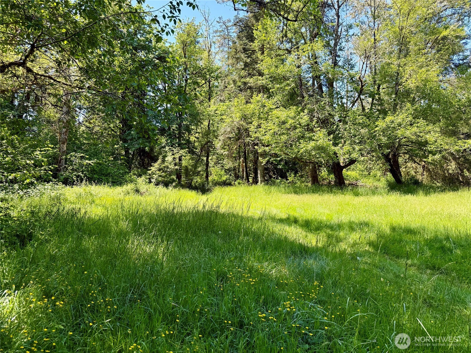 107 River Lane Toledo WA 98591