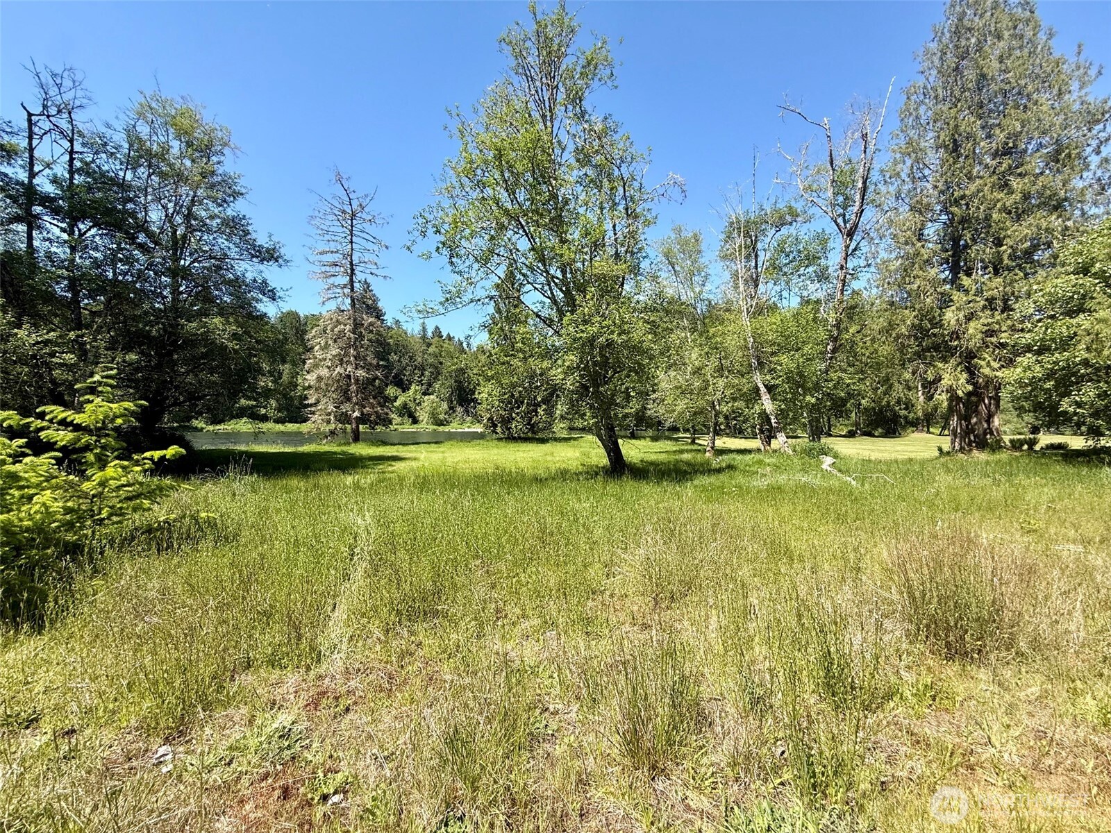 107 River Lane Toledo WA 98591
