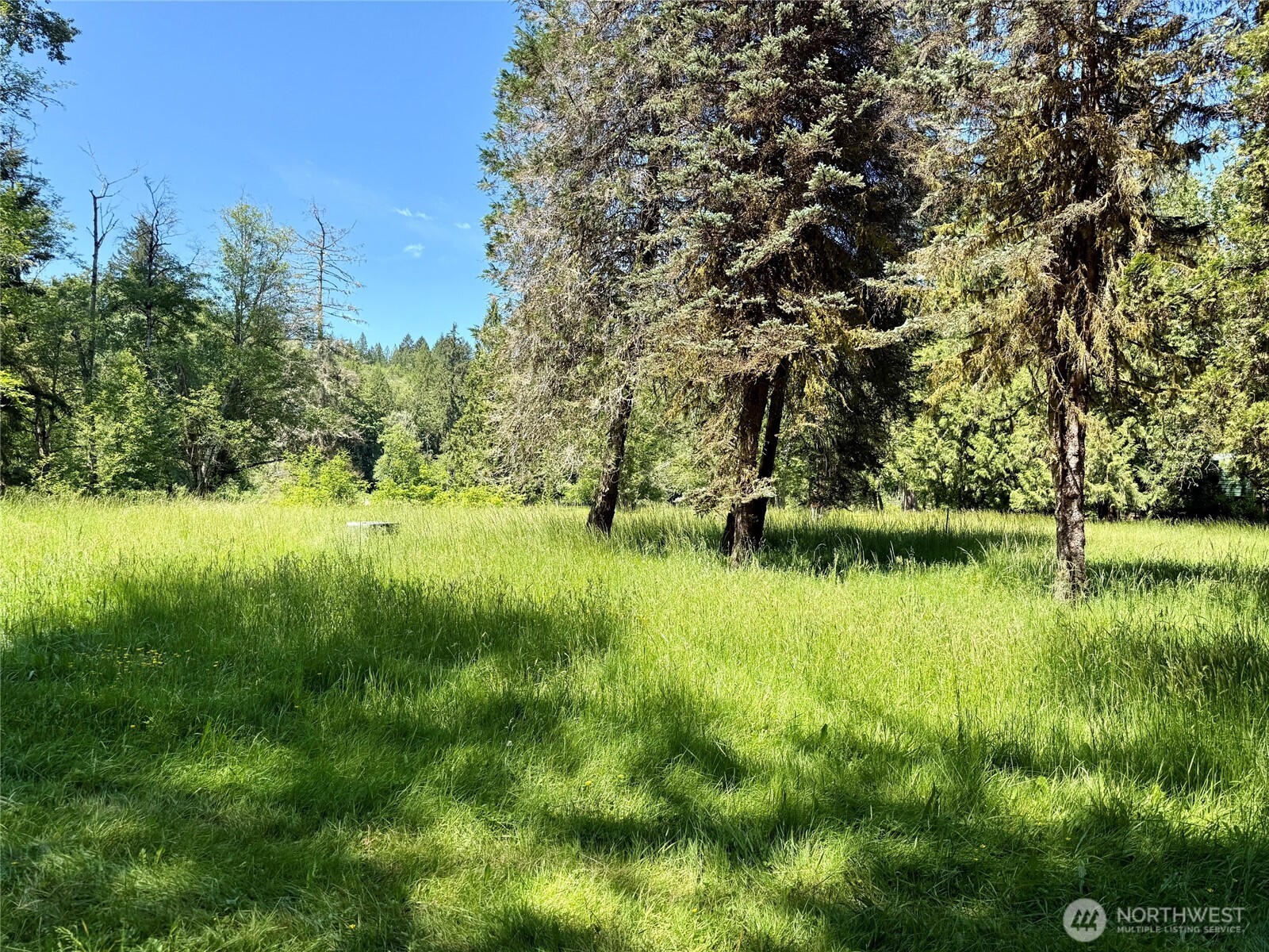 107 River Lane Toledo WA 98591