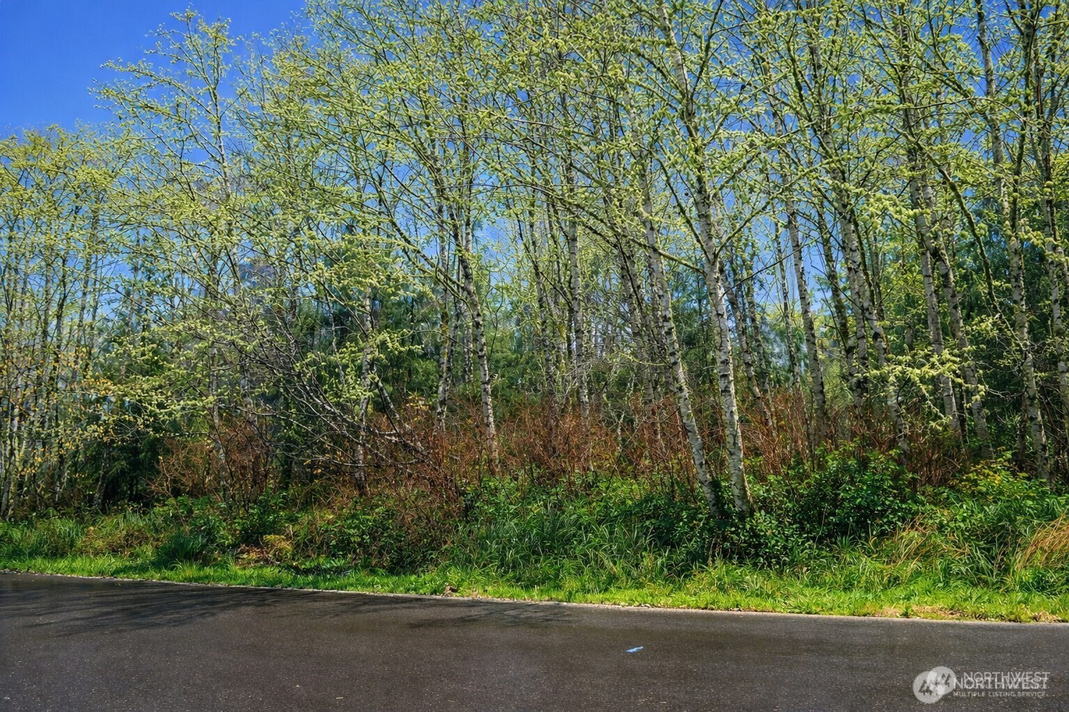 821 Duck Lake Drive NE Ocean Shores WA 98569