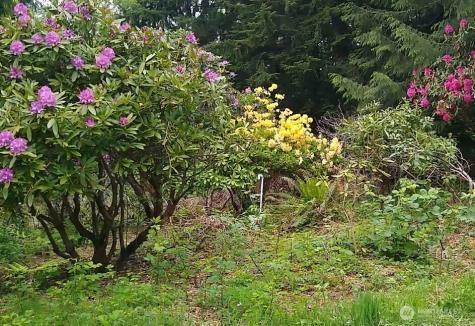34502 SE 325th Street Ravensdale WA 98051