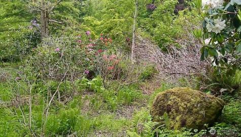 34502 SE 325th Street Ravensdale WA 98051