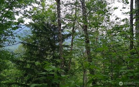 34502 SE 325th Street Ravensdale WA 98051