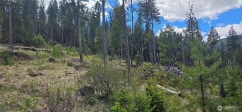790 Bonaparte Lake Road Tonasket WA 98855