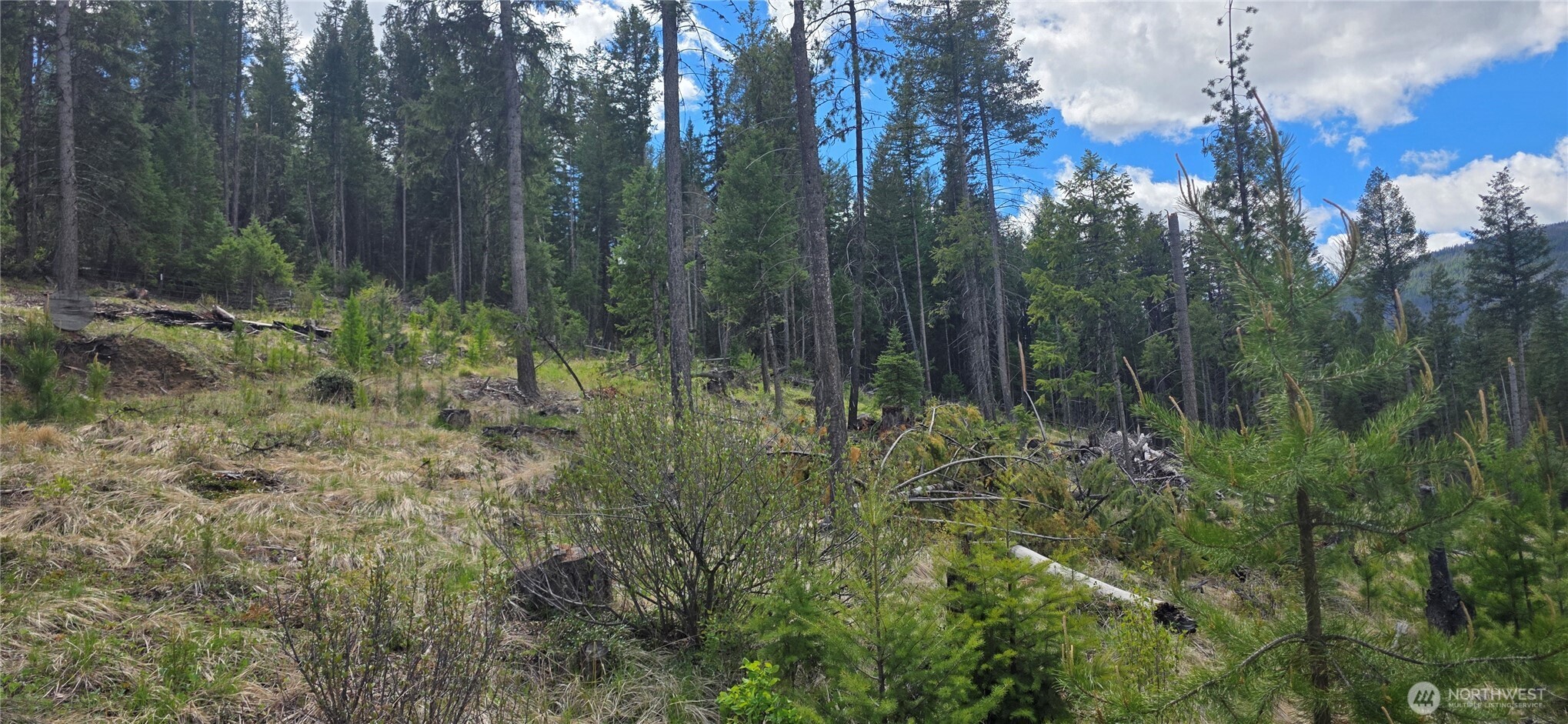 790 Bonaparte Lake Road Tonasket WA 98855