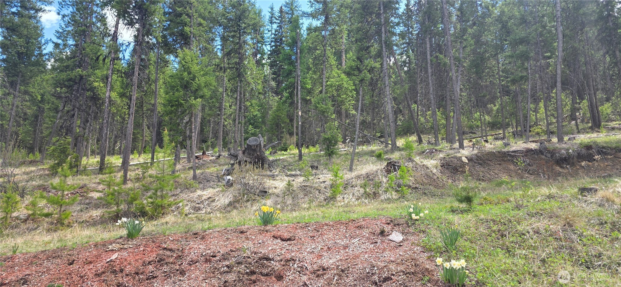 790 Bonaparte Lake Road Tonasket WA 98855