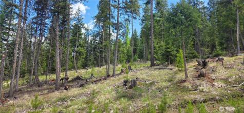 790 Bonaparte Lake Road Tonasket WA 98855