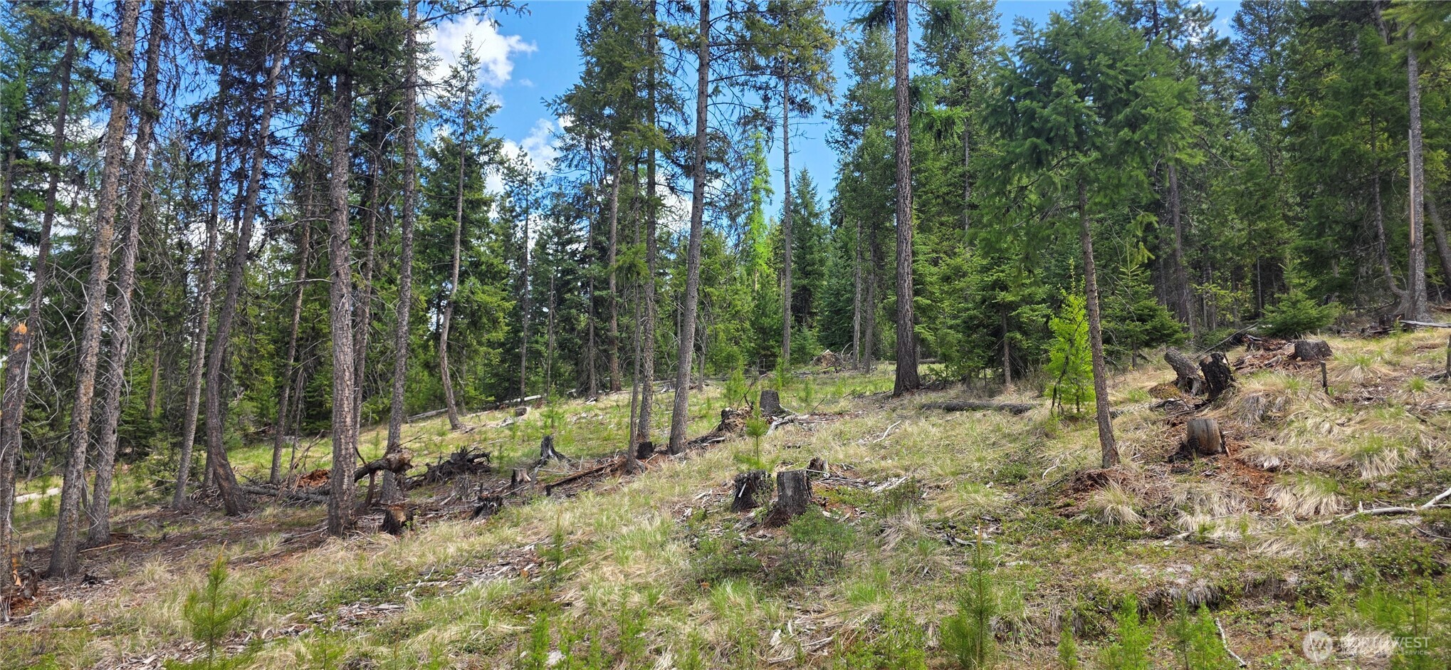 790 Bonaparte Lake Road Tonasket WA 98855