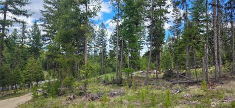 790 Bonaparte Lake Road Tonasket WA 98855