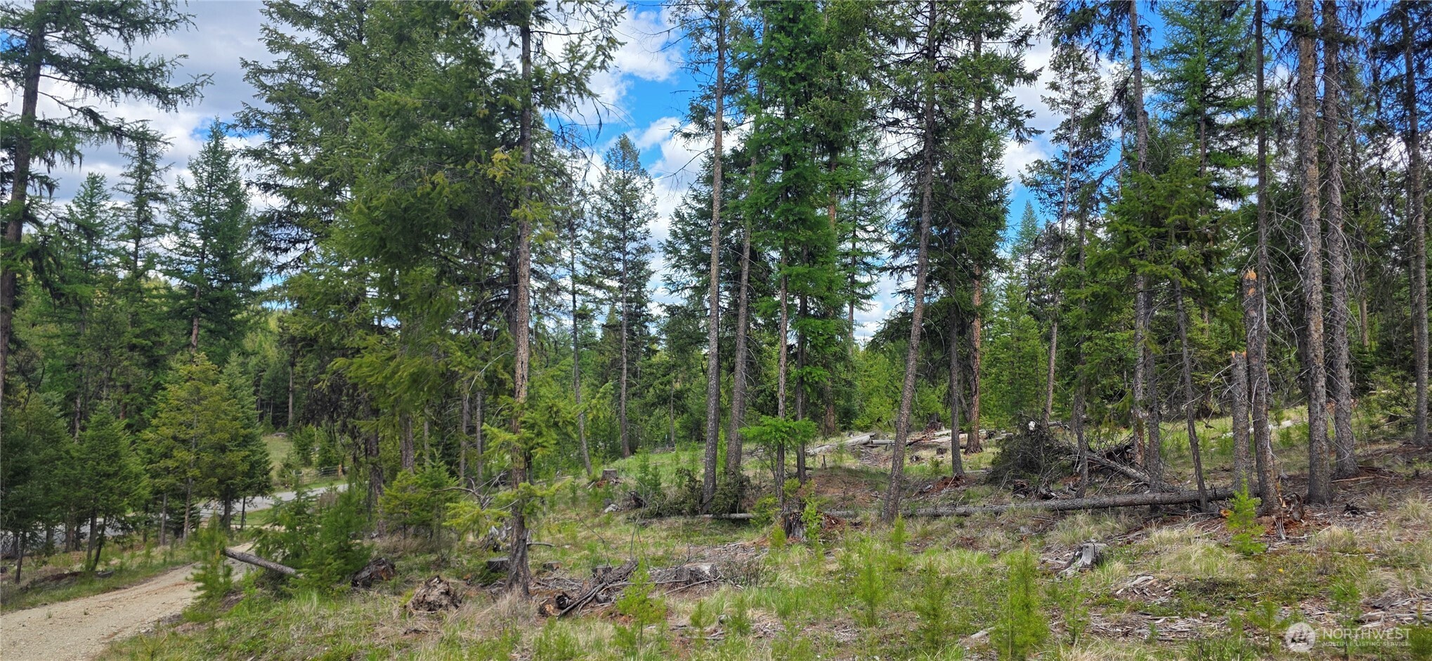 790 Bonaparte Lake Road Tonasket WA 98855