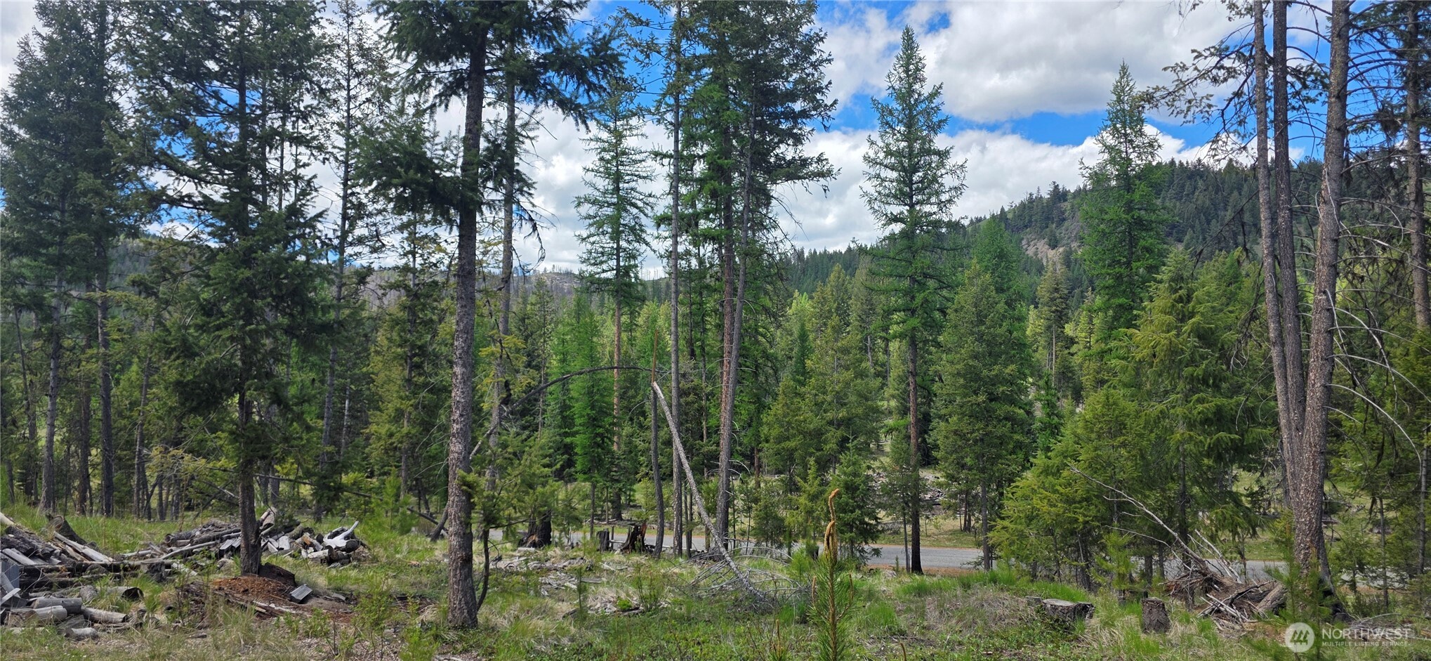790 Bonaparte Lake Road Tonasket WA 98855