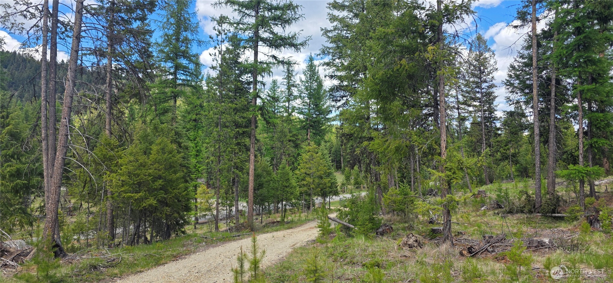 790 Bonaparte Lake Road Tonasket WA 98855