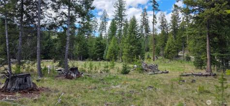790 Bonaparte Lake Road Tonasket WA 98855