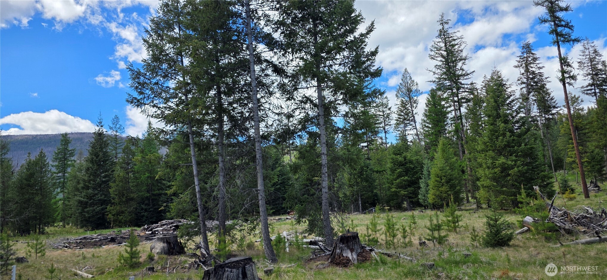 790 Bonaparte Lake Road Tonasket WA 98855