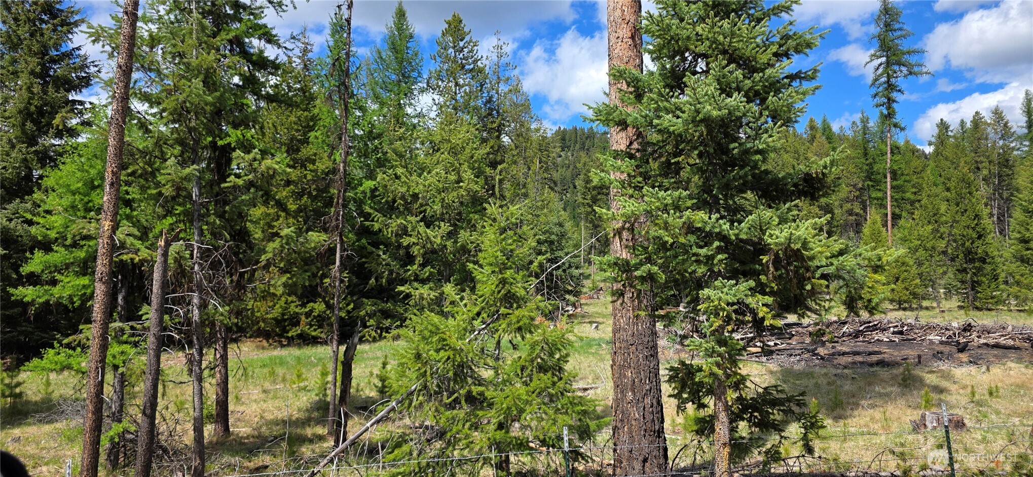 790 Bonaparte Lake Road Tonasket WA 98855