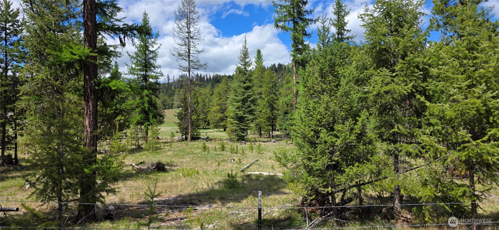 790 Bonaparte Lake Road Tonasket WA 98855